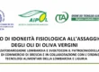 Anteprima del volantino del corso di idoneità fisiologica all'assaggio degli olivi vergini di Otall